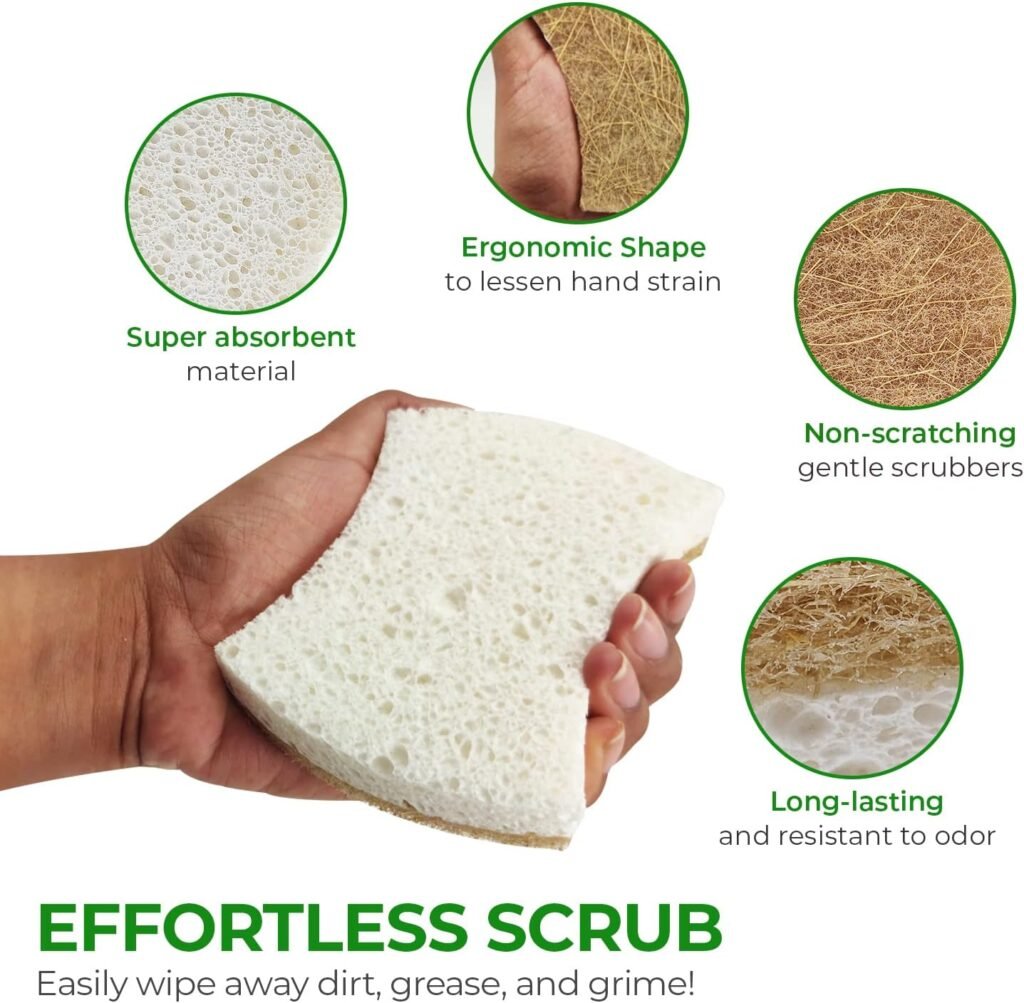 Biodegradable Natural Kitchen Sponge - Compostable Cellulose and Coconut Walnut Scrubber Sponge - Pack of 12 Eco Friendly Sponges for Dishes - Handy Shape