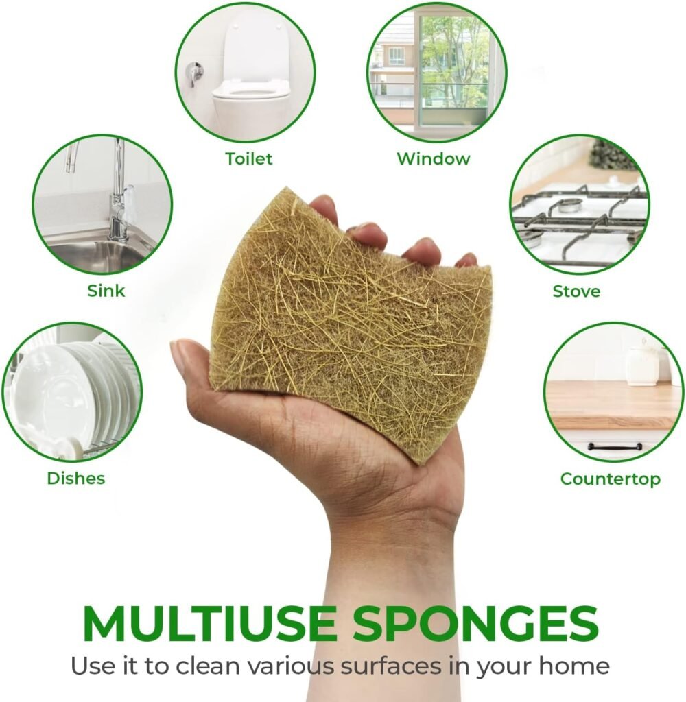 Biodegradable Natural Kitchen Sponge - Compostable Cellulose and Coconut Walnut Scrubber Sponge - Pack of 12 Eco Friendly Sponges for Dishes - Handy Shape